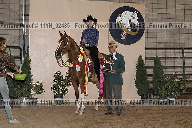 Proof 11yn_02485