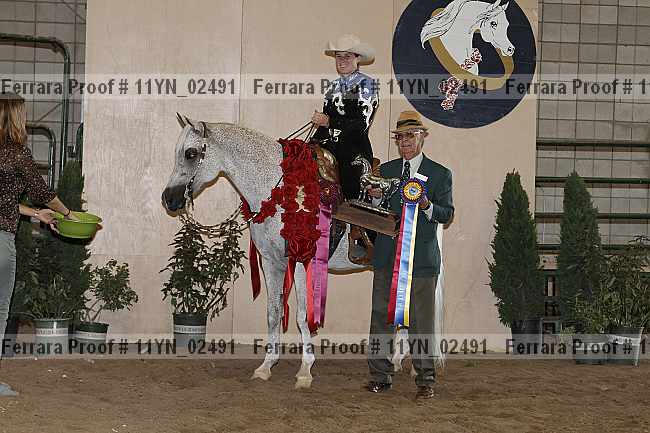 Proof 11yn_02491