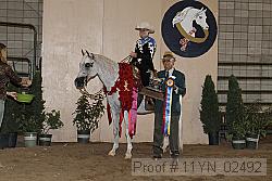 11yn_02492 proof