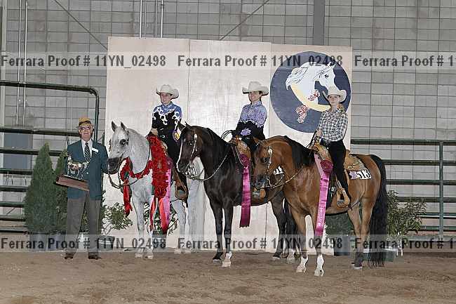 Proof 11yn_02498