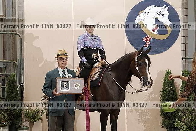 Proof 11yn_03427