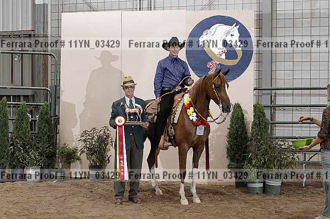 Proof 11yn_03429
