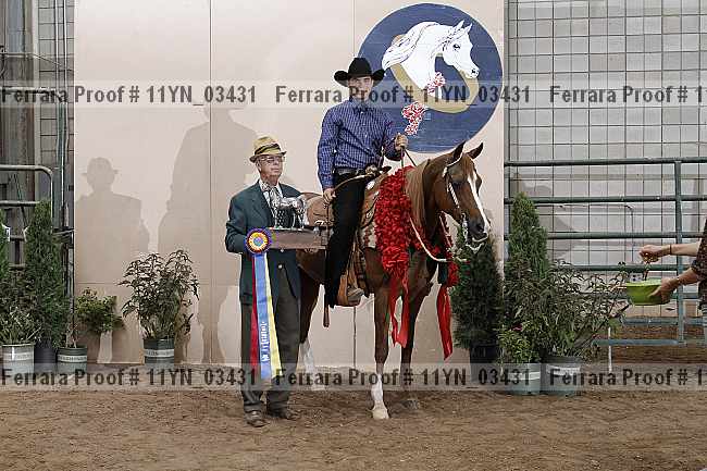Proof 11yn_03431