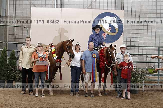 Proof 11yn_03432