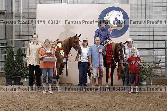 Proof 11yn_03434
