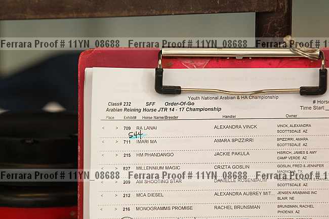 Proof 11yn_08688