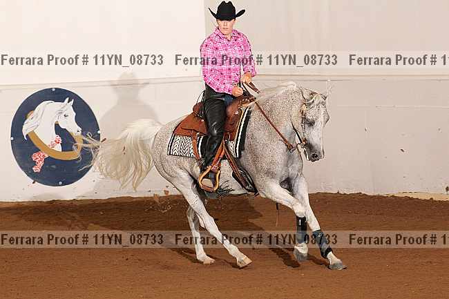 Proof 11yn_08733