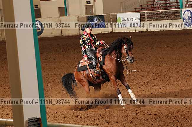 Proof 11yn_08744