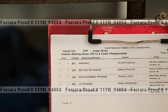 Proof 11yn_04084