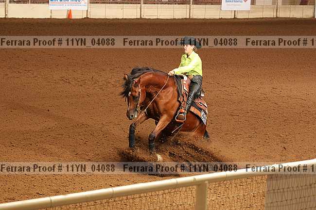Proof 11yn_04088