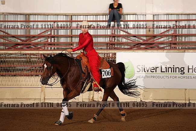Proof 11yn_04095