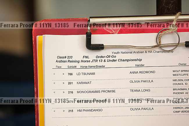 Proof 11yn_13185