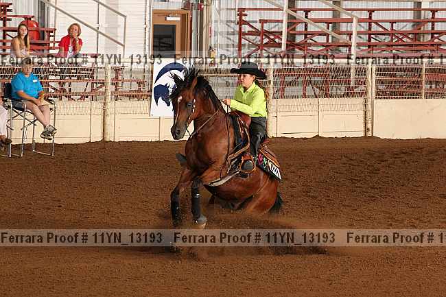 Proof 11yn_13193