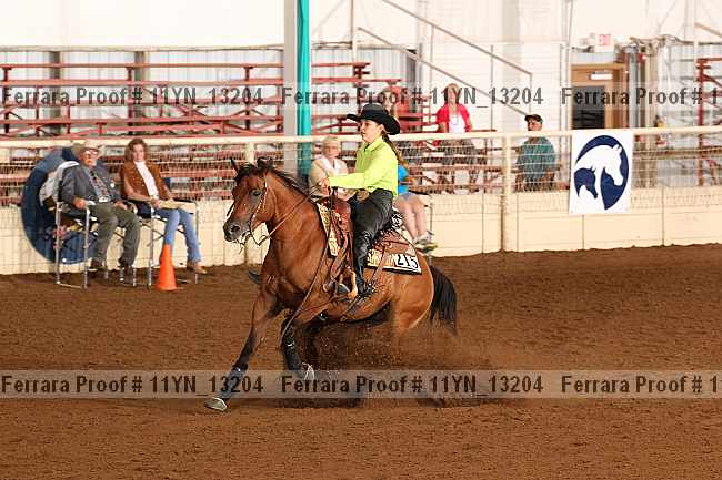 Proof 11yn_13204