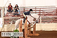 11yn_28768 proof
