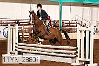 11yn_28801 proof