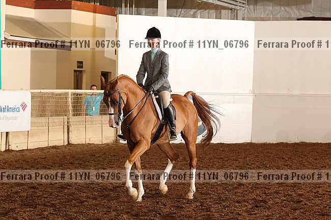 Proof 11yn_06796