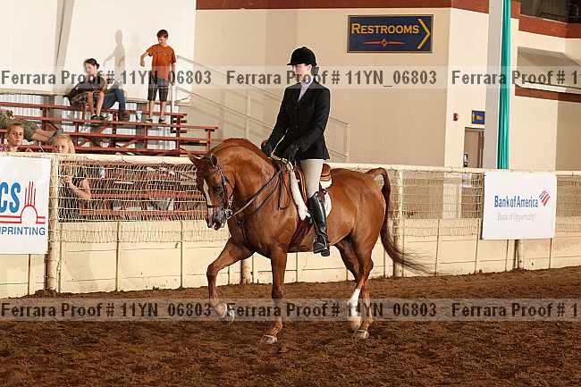 Proof 11yn_06803