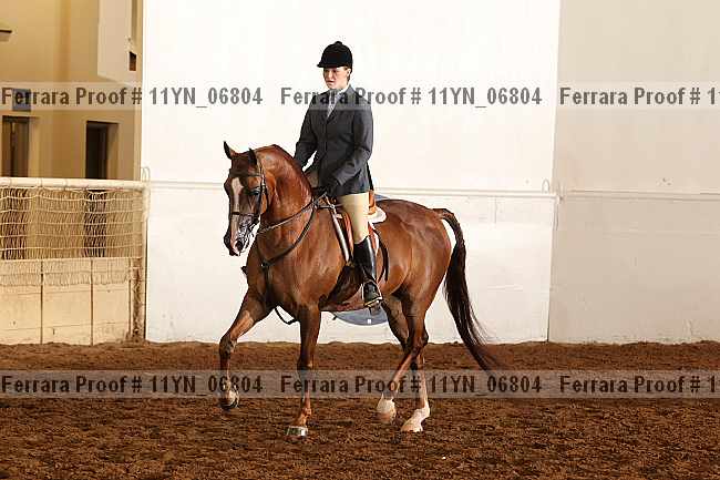 Proof 11yn_06804