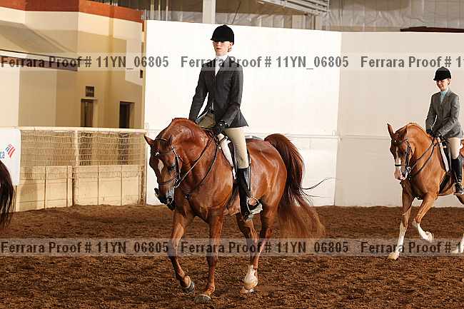 Proof 11yn_06805