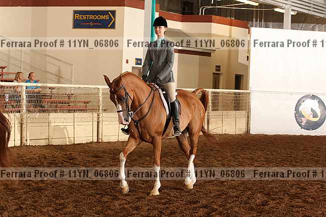 Proof 11yn_06806