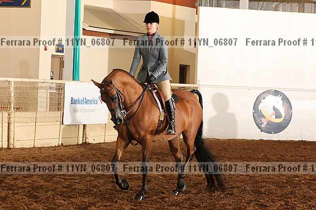 Proof 11yn_06807