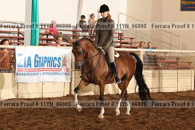 Proof 11yn_06808