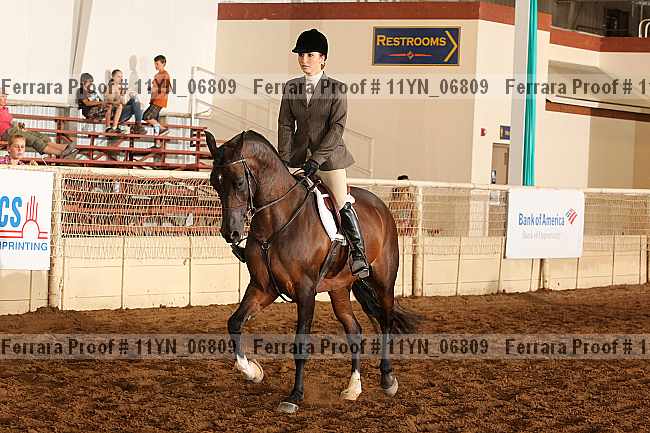 Proof 11yn_06809