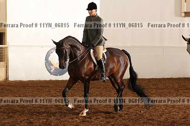 Proof 11yn_06815