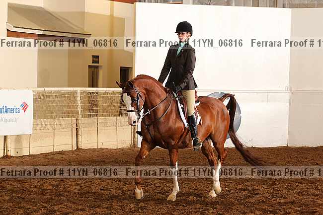 Proof 11yn_06816