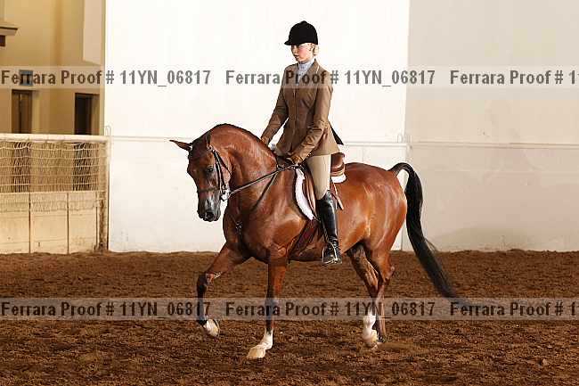 Proof 11yn_06817