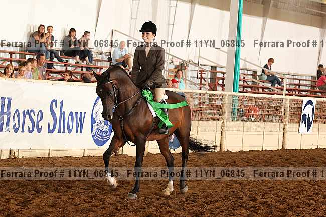 Proof 11yn_06845