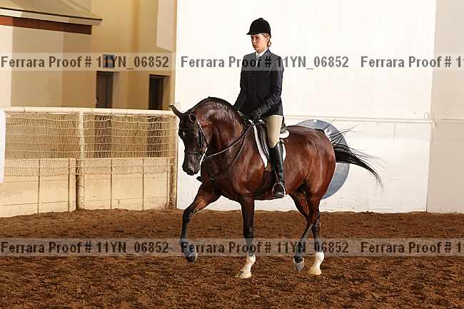 Proof 11yn_06852