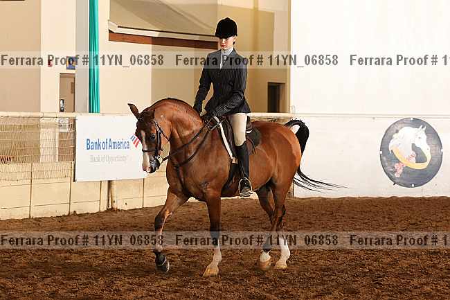 Proof 11yn_06858