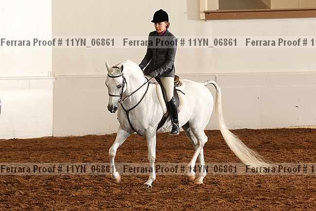 Proof 11yn_06861