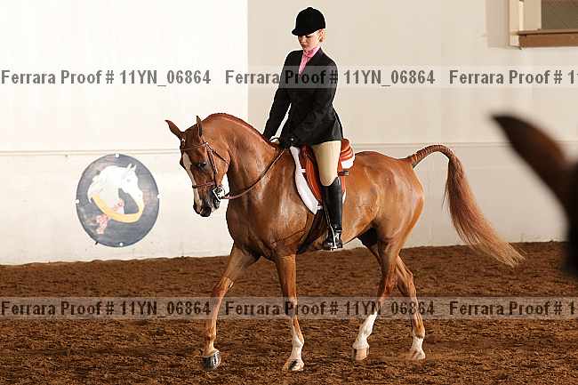 Proof 11yn_06864