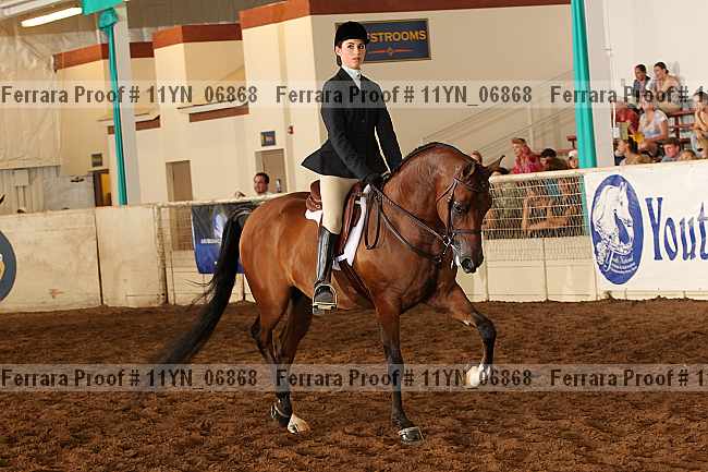 Proof 11yn_06868