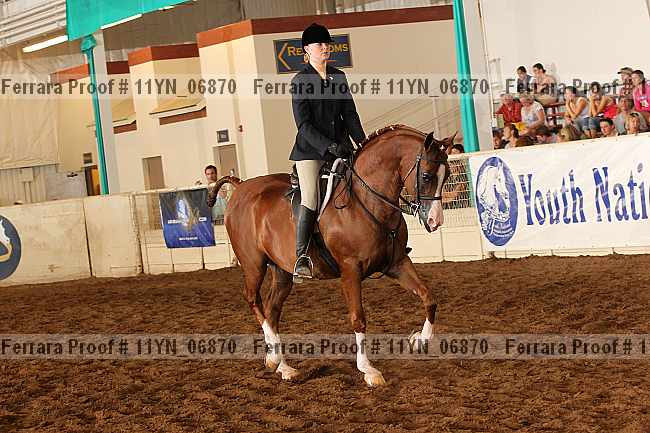 Proof 11yn_06870