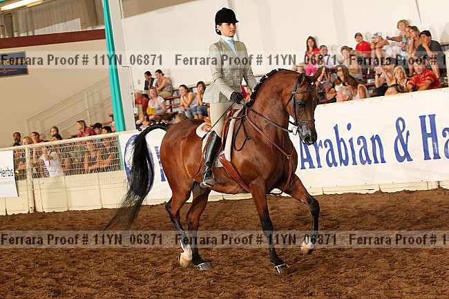 Proof 11yn_06871