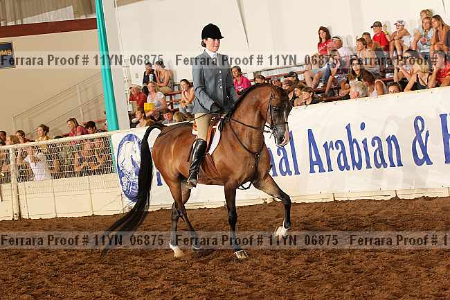 Proof 11yn_06875