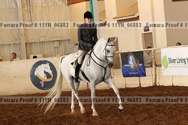Proof 11yn_06883