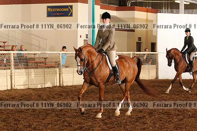 Proof 11yn_06902