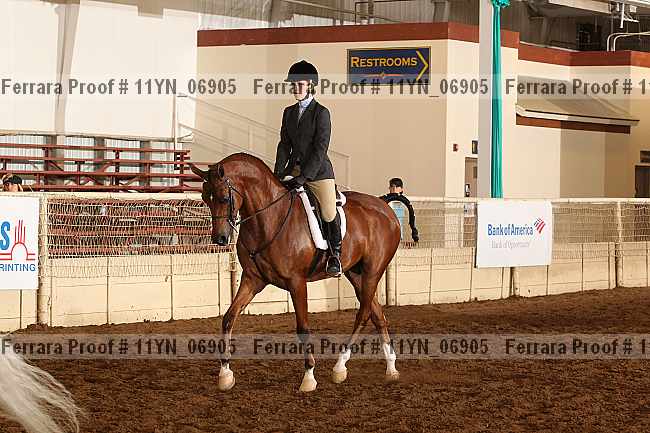 Proof 11yn_06905