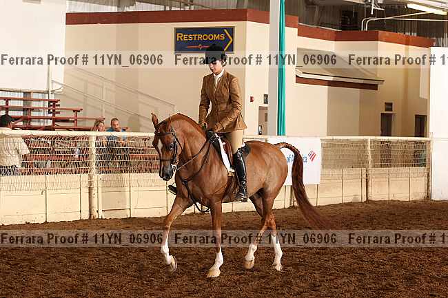 Proof 11yn_06906