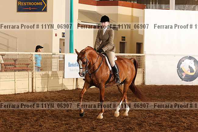 Proof 11yn_06907
