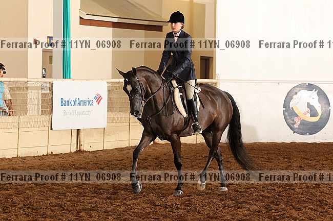 Proof 11yn_06908