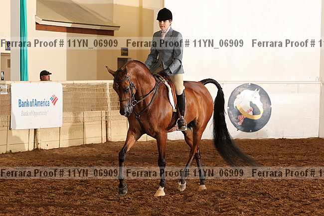 Proof 11yn_06909