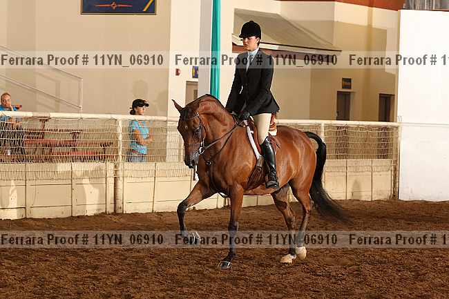 Proof 11yn_06910
