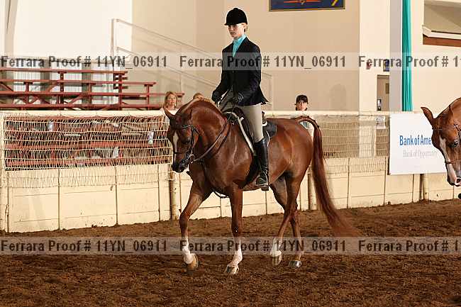 Proof 11yn_06911