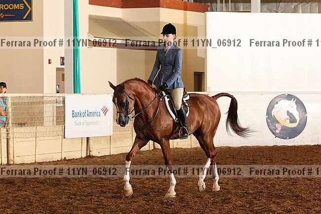 Proof 11yn_06912